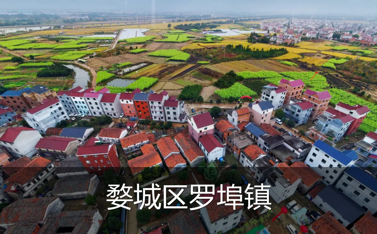 婺城区罗埠镇